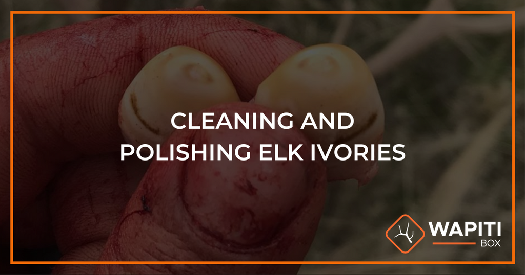 How To Clean Elk Ivories: 5 Easy Steps