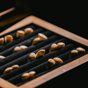 elk ivory display