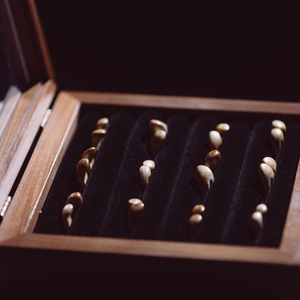 elk ivory display